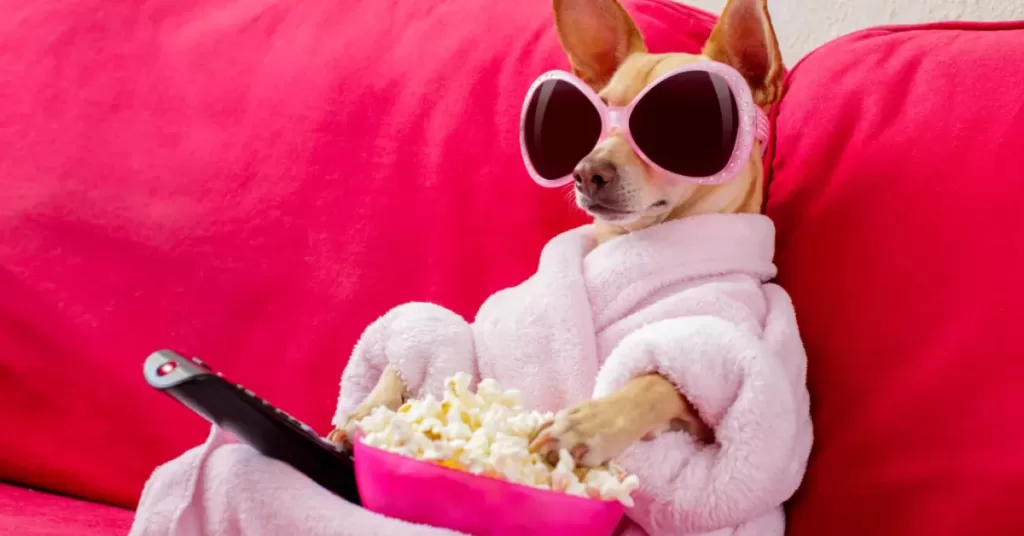 Prokrastynacja i Lenistwo: Leniwy pies siedzi na kanapie i je popcorn, wypoczywając